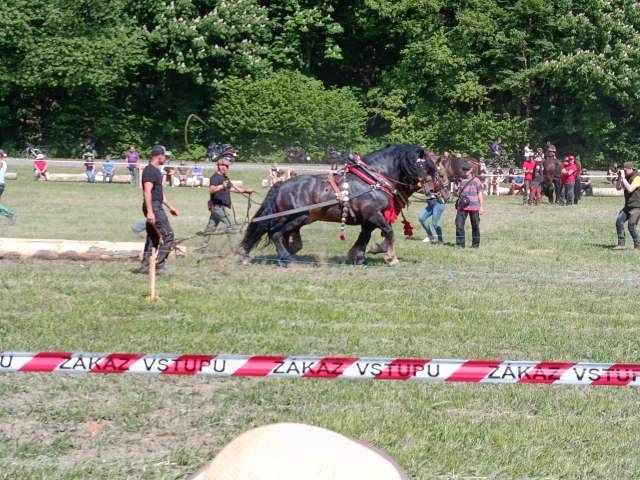IMG_20260523_151128